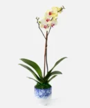 The Citrus (Faux Flower)