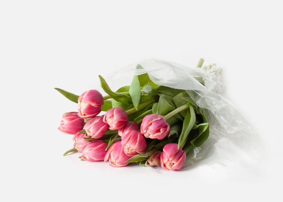 The Dutch Tulips (Faux Flower)