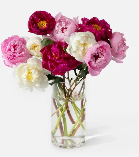 Peony (Faux Flower)