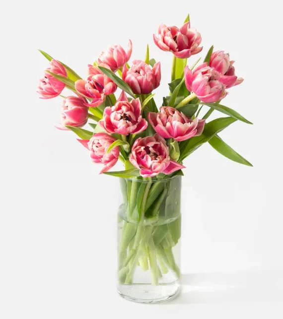 The Dutch Tulips (Faux Flower)