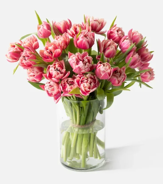 Double The Dutch Tulips (Faux Flower)