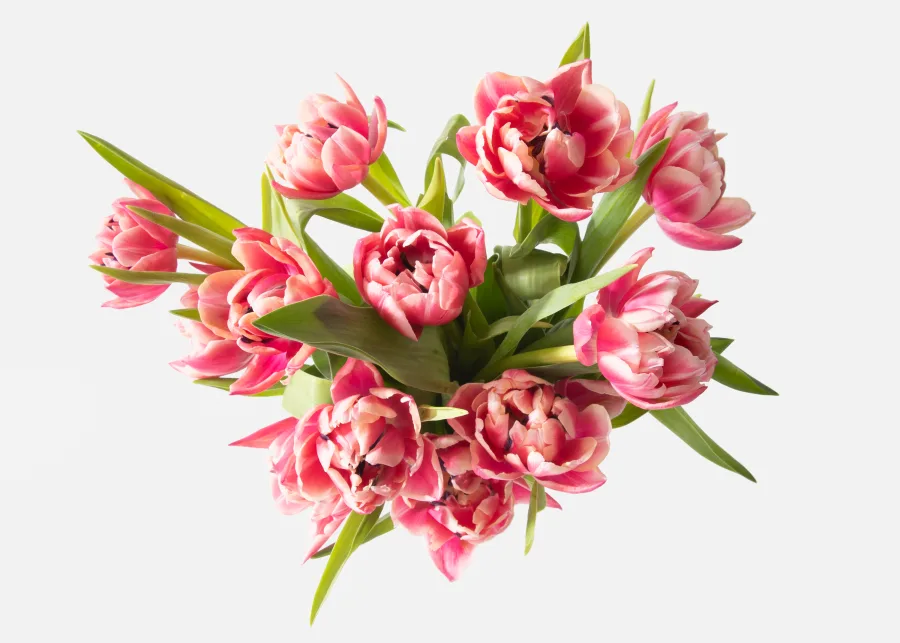 The Dutch Tulips (Faux Flower)