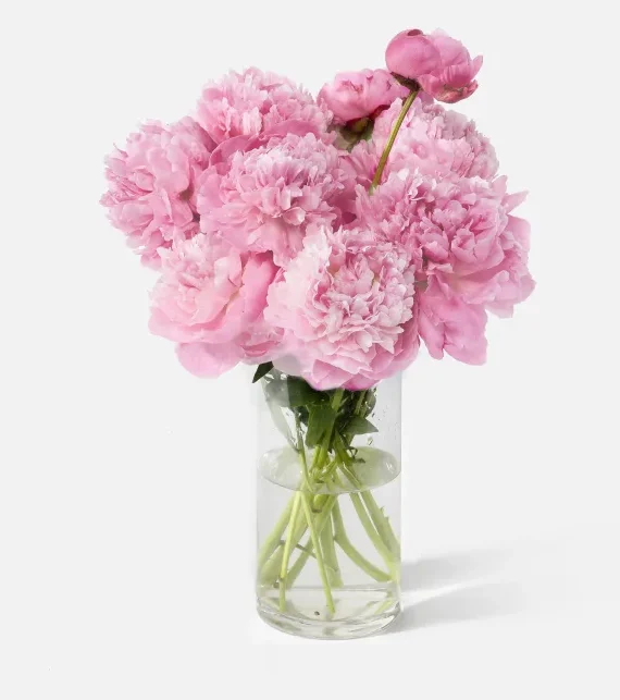 The Peony (Faux Flower)