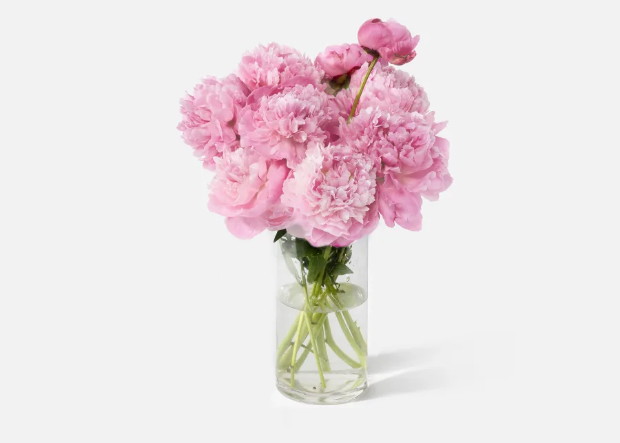 The Peony (Faux Flower)